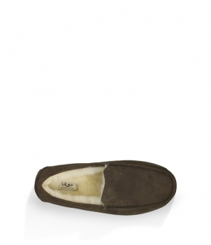 Mens Ascot - Suede Chocolate 5775